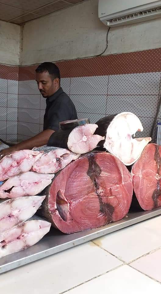 تعرف على أسعار الأسماك لهذا اليوم الثلاثاء في أسواق عدن