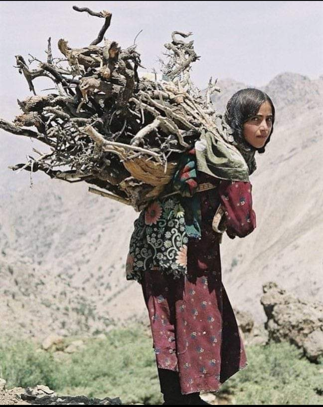 بحجة مخالفة الدين .. مليشيا الحوثي تمنع 400 امرأة في الحديدة من العمل بهذه المهنة